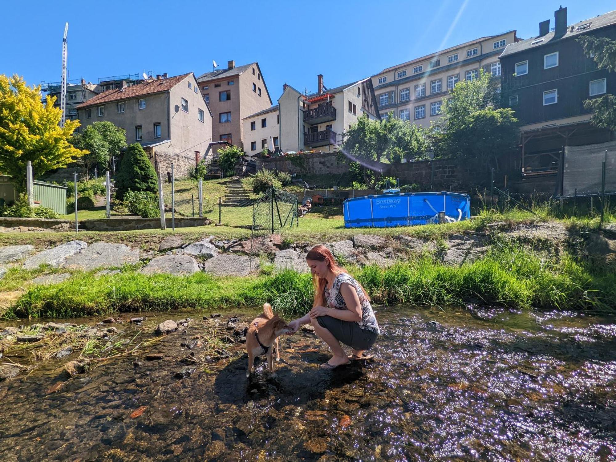 Urlaubsmagie - Sauna&Whirlpool Zum Entspannen - Hw1 Sebnitz Exteriör bild